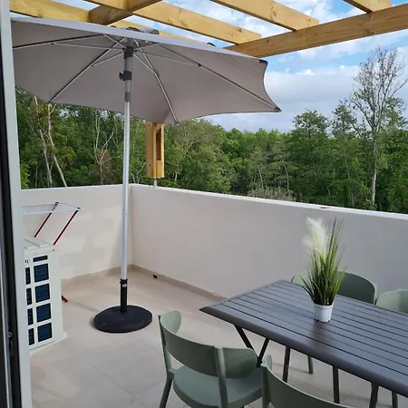 Appartement T2 Et Piscine Linguizzetta
